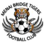 TEAM #9182 logo