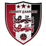 TEAM #9311 logo