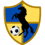 TEAM #9332 logo