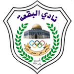 TEAM #9335 logo