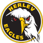 TEAM #9432 logo