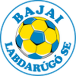 TEAM #9604 logo