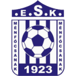 TEAM #9691 logo