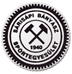 TEAM #9695 logo