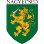TEAM #9781 logo