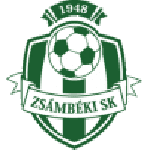 TEAM #9915 logo