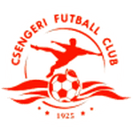 TEAM #9919 logo