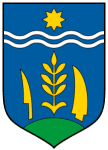 TEAM #9949 logo