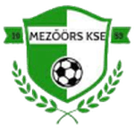 TEAM #9960 logo